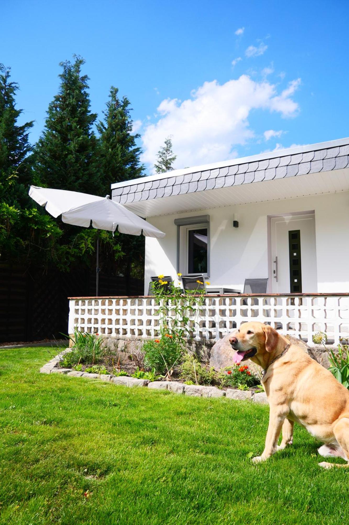 Haus Kleiner Findling Im Lausitzer Seenland Tätzschwitz Exterior photo